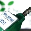 Ilustrasi Biodiesel (Istimewa)