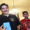 Airlangga Hartarto (Doc. Detik.com)