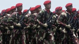HUT TNI