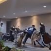 Aksi premanisme dalam kegiatan diaspora.