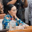 Anggota Komisi I DPR Amelia Anggraini (Istimewa)