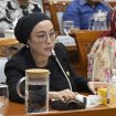 Anggota Komisi VII DPR Selly Andriany Gantina (Doc. DPR)