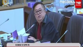 Anggota Komisi VI DPR, Darmadi Durianto (Doc. Merdeka.com)
