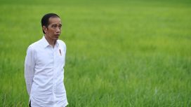 Jokowi dan Program Pangan (Doc. ANTARA)