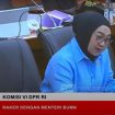 Anggota Komisi VI DPR Sadarestuwati (Istimewa)