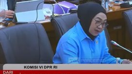 Anggota Komisi VI DPR Sadarestuwati (Istimewa)