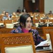 Anggota Komisi VI DPR Rieke Diah Pitaloka (Istimewa)