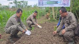 Satgas Damai Cartenz dalam Misi Ketahanan Pangan (Doc. Polri)