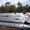 BIbit tanaman cabai mati, diduga karena aktivitas produksi pembakaran karbon PT Lhoong Stia Mining di Aceh Besar.