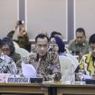 Mensesneg Prasetyo Hadi (Doc. ANTARA)