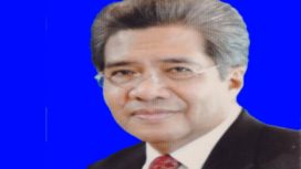 Anggota Tim Nasional Peningkatan Penggunaan Produk Dalam Negeri (PPPDN) Willem Siahaya.