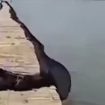 Bagian atas pagar laut di perairan Tangerang yang tengah menjadi sorotan publik. (Indonesiawatch.id/Dok Pokwas Cipasilian)