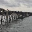 Pagar laut di perairan Tangerang, Banten, dekat PIK 2 mulai dibongkar TNI AL. (Indonesiawatch.id/Ist)