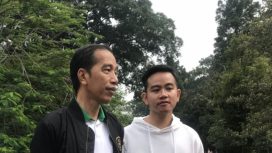 Jokow Widodo dan Gibran (Foto: Antara)